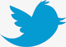 Twitter icon